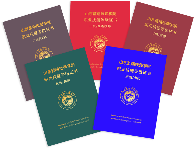 职业技能认证